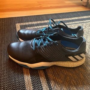 Adidas boost golf shoe. Wore a few times but in excellent used condition.